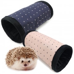 ǰ