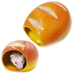 ǰ